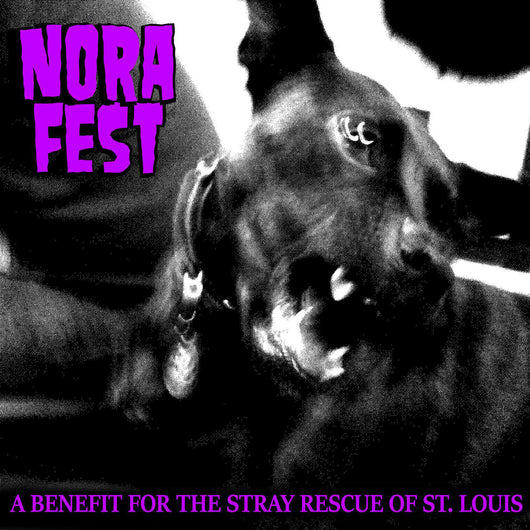 Nora Fest - Compact Disc